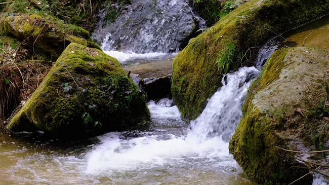 В одну воду не ступишь.png